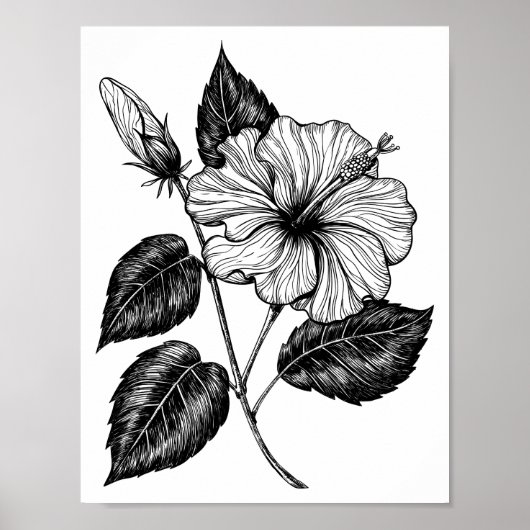 Hibiscus flower II Poster (Voorkant)