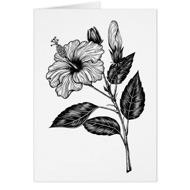 Hibiscus flower III (Voorkant)