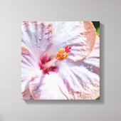 Hibiscus Flower met Dew Canvas Afdruk (Voorkant)