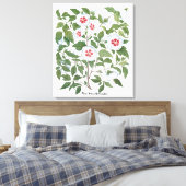 Hibiscus Flowers van Basilius Besler Canvas Afdruk (Insitu (Slaapkamer))