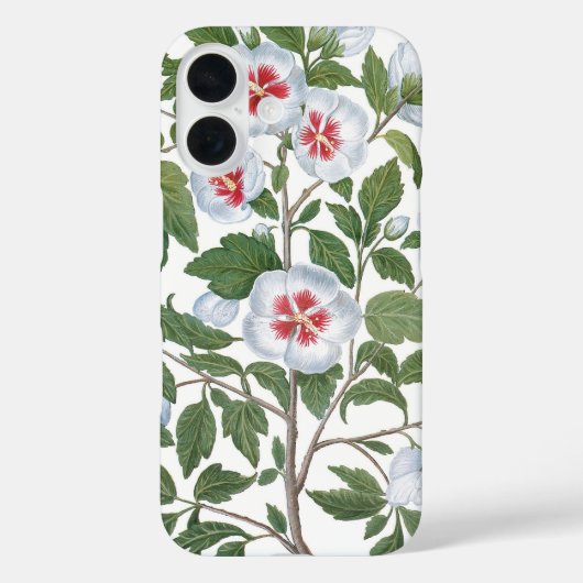  Hibiscus Flowers van Basilius Besler Case-Mate iPhone Case (Achterkant)