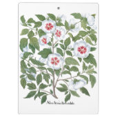  Hibiscus Flowers van Basilius Besler Klembord (Achterkant)