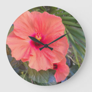 Hibiscus Gloed Grote Klok