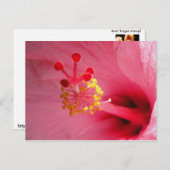 hibiscus hart briefkaart (Voorkant / Achterkant)