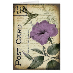  Hibiscus Hummingbird