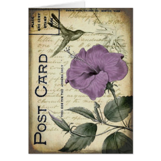  Hibiscus Hummingbird