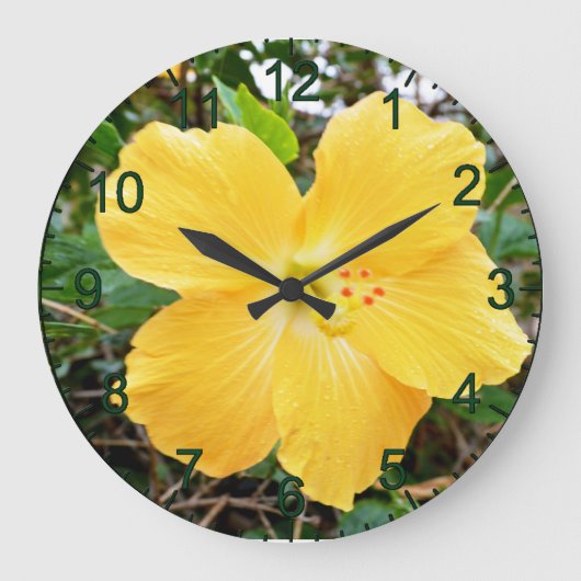 Hibiscus Jaune D'Or, Horloge Mural (Recto)