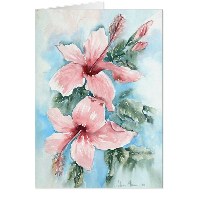 Hibiscus Joy (Voorkant)
