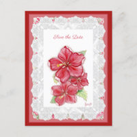 Hibiscus & kant ROOD