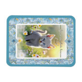 Hibiscus & kant TURQUOISE Magneet (Horizontaal)