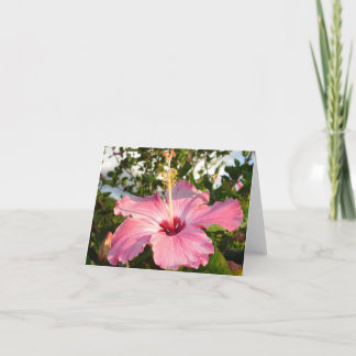 Hibiscus - L Kaart
