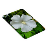 Hibiscus Magneet (Rechterzijde)