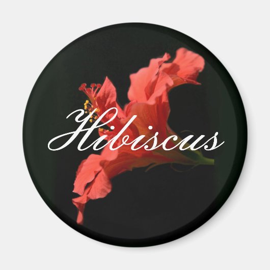 Hibiscus Magneet (Voorkant)