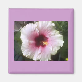 Hibiscus Magnet Magneet