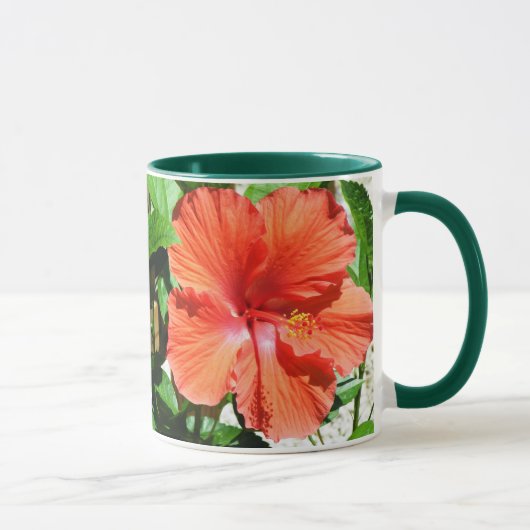 Hibiscus Mok (Rechts)