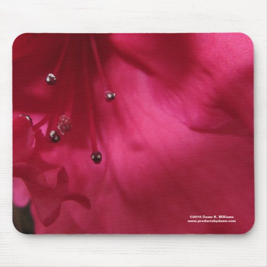 Hibiscus Mousepad Muismat (Voorkant)