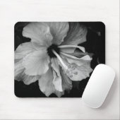 Hibiscus Muismat (Met muis)