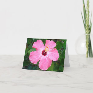 Hibiscus - N Kaart