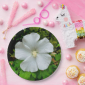 Hibiscus papier Bord (Feest)