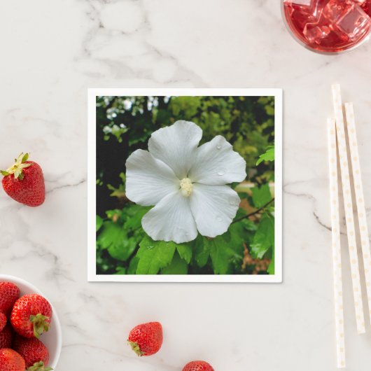 Hibiscus papieren servetten (Insitu)