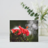 Hibiscus Plant Briefkaart (Staand voorkant)