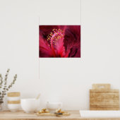 Hibiscus Poster (Keuken)