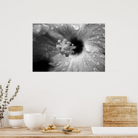 Hibiscus Poster (Keuken)