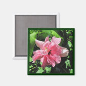 Hibiscus rose double avec aimant Raindrops (Recto/Verso)