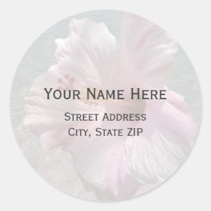 Hibiscus rose et Étiquette de adresse aquatique Oc