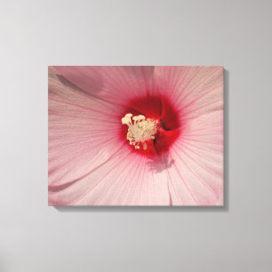 Hibiscus rose Fleur Fermer Photo Impression unique