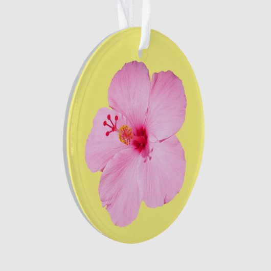 Hibiscus rose Fleur tropicale (devant)