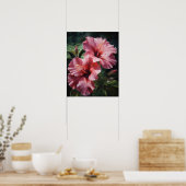 Hibiscus rose Fleurs Art Imprimer Poster (Cuisine)