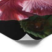Hibiscus rose Fleurs Art Imprimer Poster (Coin)