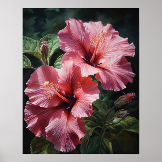 Hibiscus rose Fleurs Art Imprimer Poster (Devant)