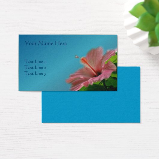 Hibiscus rose nature (Bureau)