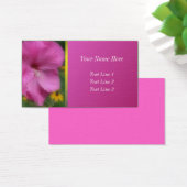 Hibiscus rose nature (Bureau)