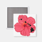 hibiscus rose w aimant des îles Hawn (Recto/Verso)