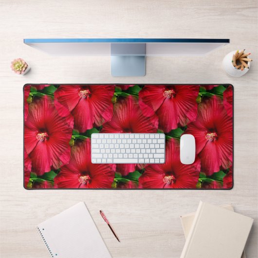 Hibiscus rouge....... (Bureau 1)