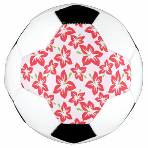 Hibiscus rouge, Fleurs rouges, Motif de fleurs