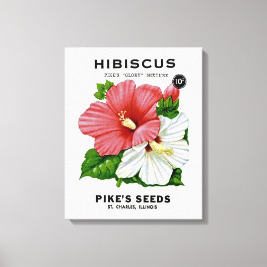 Hibiscus Seed Packet Canvas Afdruk (Voorkant)