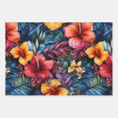 Hibiscus Serenade : Feuilles tropicaux (Devant 3)