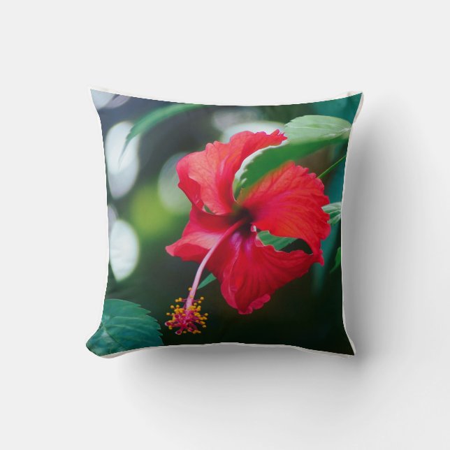 Hibiscus Sierkussen (Voorkant)
