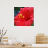 Hibiscus sun poster (Keuken)