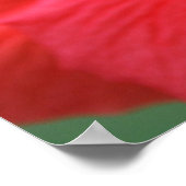 Hibiscus sun poster (Hoek)