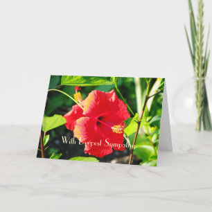Hibiscus sympathie Wenskaart Kaart