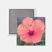 HIBISCUS THUIS MAGNEET (Voorkant / Achterkant)
