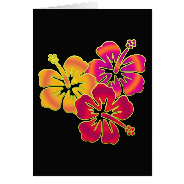 hibiscus trio | Fond noir (Devant)