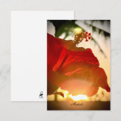 Hibiscus tropical Carte de remerciements (Devant / Derrière)