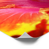 Hibiscus-ventilator Poster (Hoek)