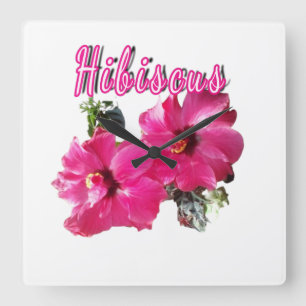 Hibiscus  vierkante klok